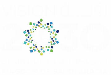 Saudi Vision 2030 — Kingdom of Saudi Arabia logo